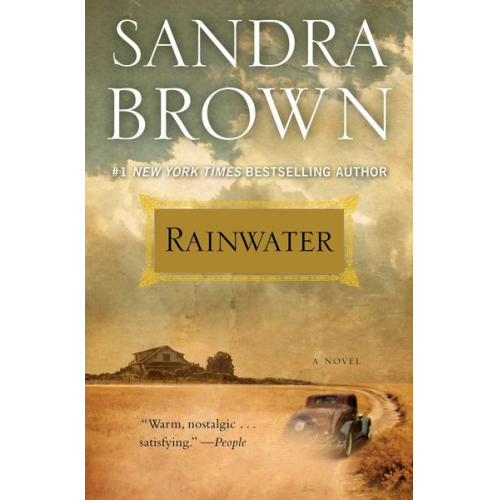 Sandra Brown - Rainwater