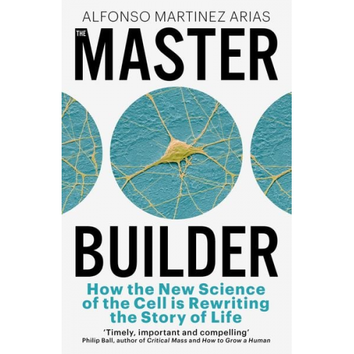 Alfonso Martinez Arias - The Master Builder