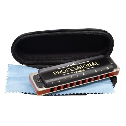 Professional Blues Harmonica in A (incl. case and cleaning cloth)