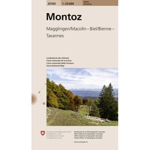 25103 Montoz