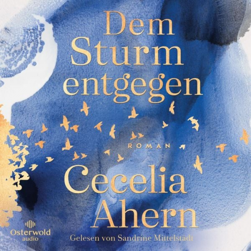 Cecelia Ahern - Dem Sturm entgegen