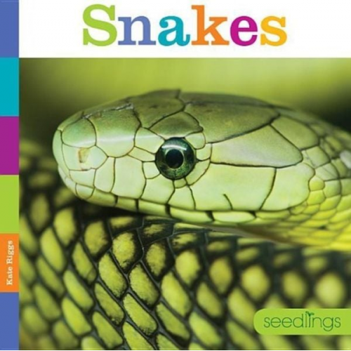 Kate Riggs - Snakes