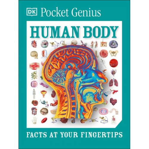 DK - Pocket Genius: Human Body