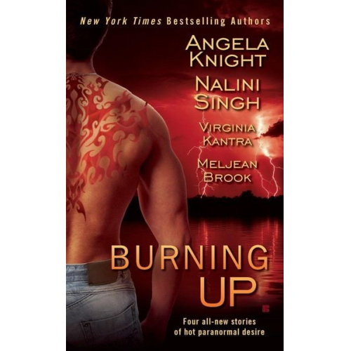 Angela Knight Nalini Singh Virginia Kantra - Burning Up