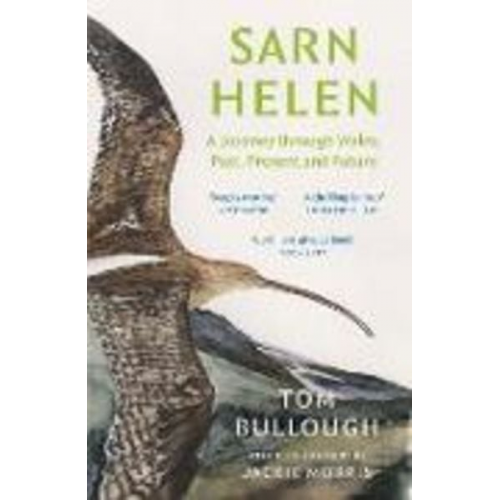 Tom Bullough - Sarn Helen