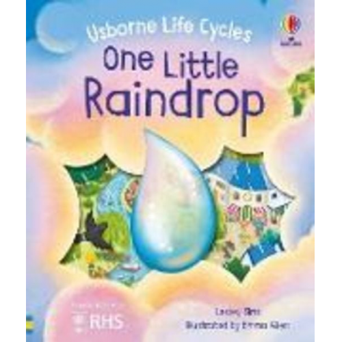 Lesley Sims - One Little Raindrop