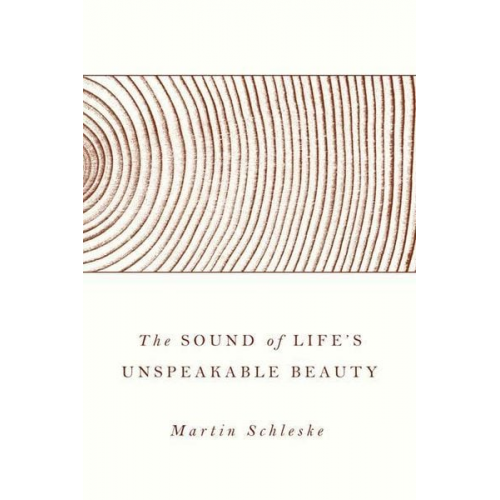 Martin Schleske - The Sound of Life's Unspeakable Beauty