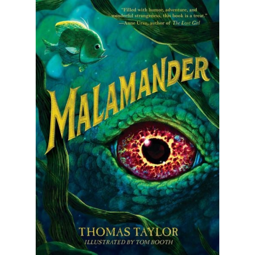 Thomas Taylor - Malamander