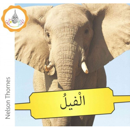 Amal Ali Ilham Salimane Maha Sharba Rabab Hamiduddin - The Arabic Club Readers: Yellow Band: Elephants