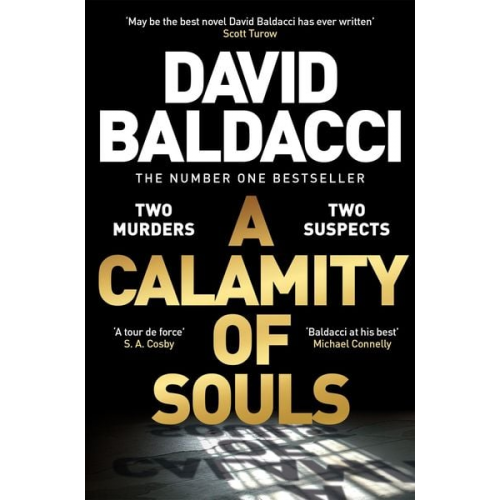 David Baldacci - A Calamity of Souls