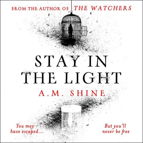 A.M. Shine - Stay in the Light