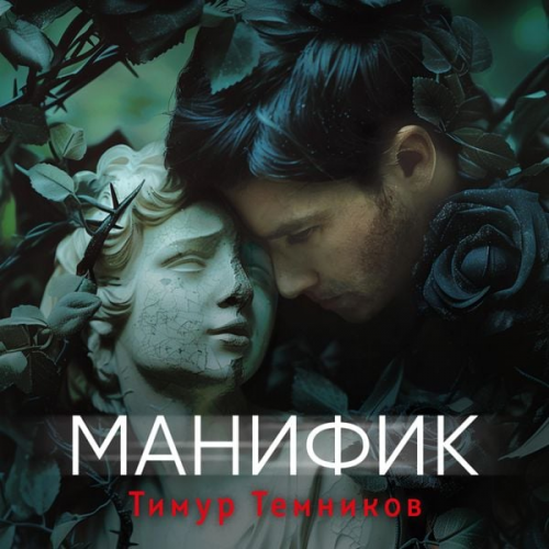 Timur Temnikov - Manifik