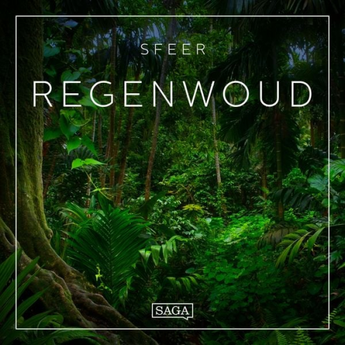 Rasmus Broe - Sfeer - Regenwoud