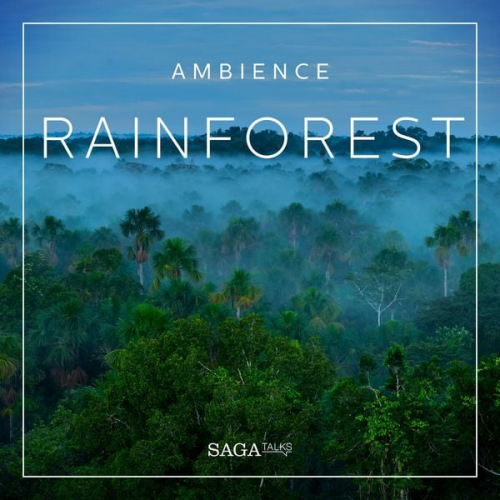 Rasmus Broe - Ambience - Rainforest