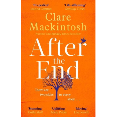 Clare Mackintosh - After the End