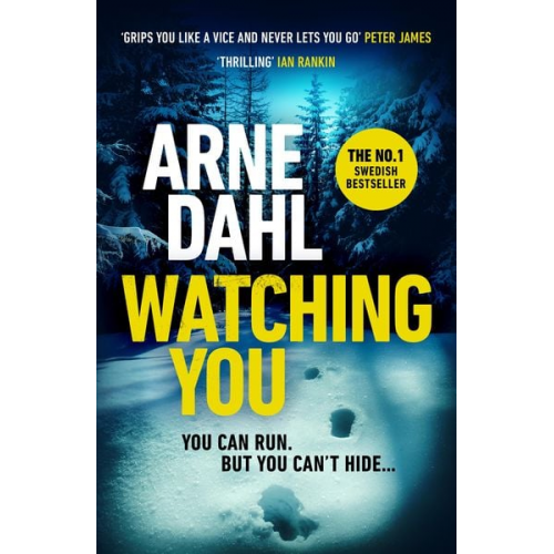 Arne Dahl - Watching You