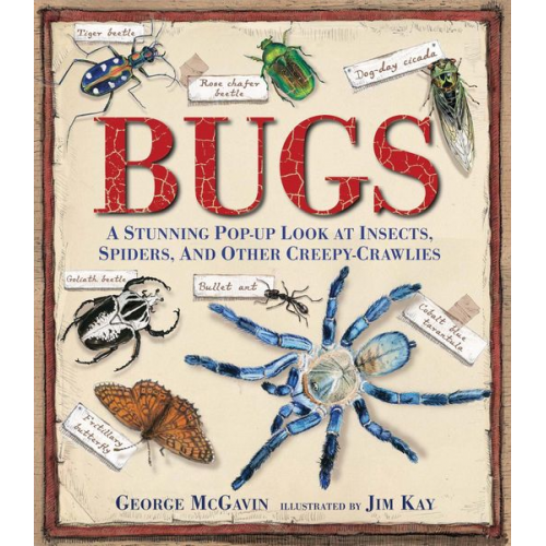 George McGavin - Bugs