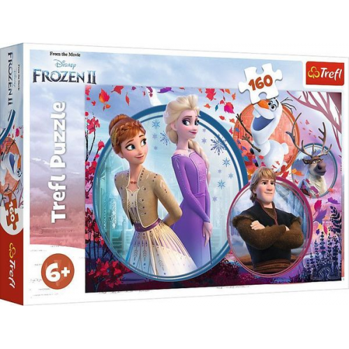 Puzzle 160 - Disney Frozen