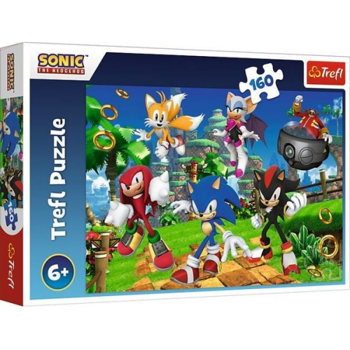 Puzzle 160 - Sonic