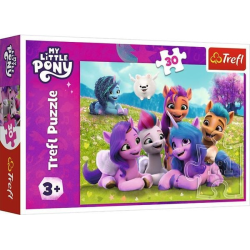 Puzzle 30 - My little Pony