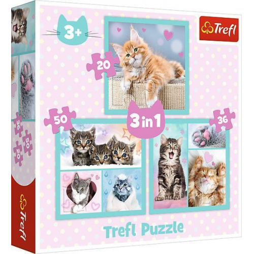 3 in 1 Puzzle - Katzen