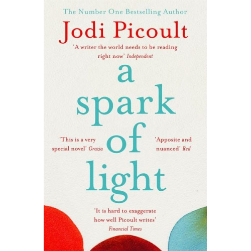 Jodi Picoult - A Spark of Light