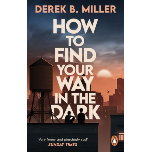 Derek B. Miller - How to Find Your Way in the Dark