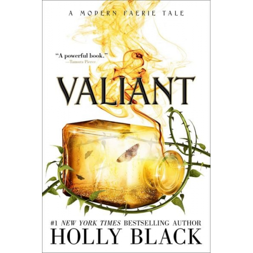 Holly Black - Valiant