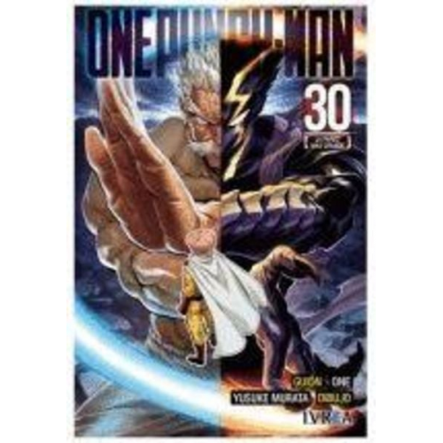 One Punch Man 30