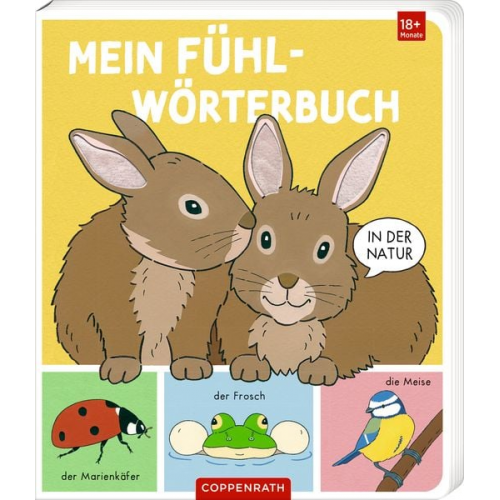 Sybille Brauer - Mein Fühl-Wörterbuch: In der Natur (Fühlen&begr.)