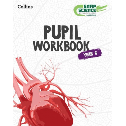 Collins - Snap Science Pupil Workbook Year 6