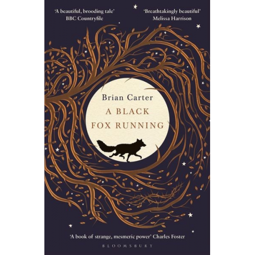 Brian Carter - A Black Fox Running