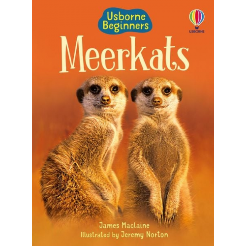 James Maclaine - Meerkats