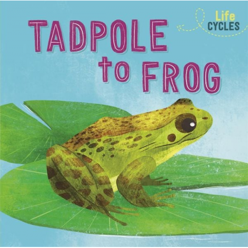 Rachel Tonkin - Life Cycles: From Tadpole to Frog