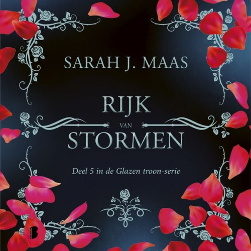 Sarah J. Maas - Rijk van stormen