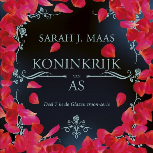 Sarah J. Maas - Koninkrijk van as