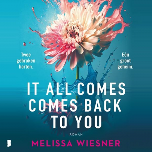 Melissa Wiesner - It All Comes Back To You