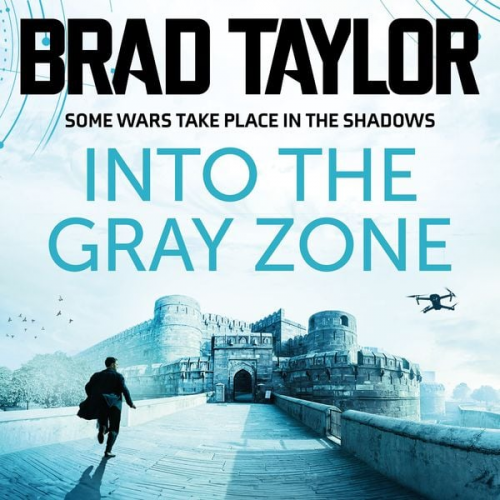 Brad Taylor - Into the Gray Zone