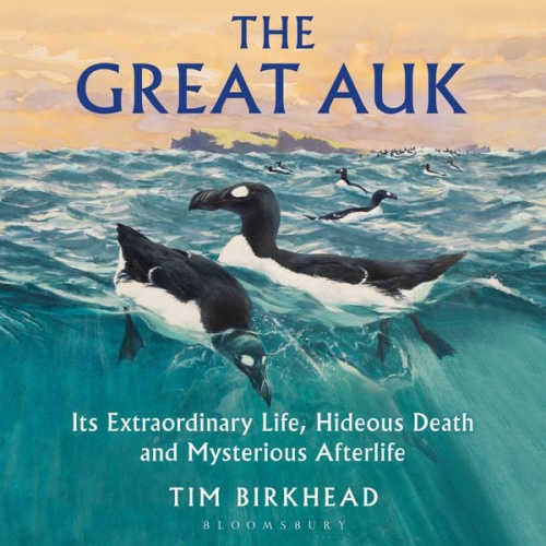 Tim Birkhead - The Great Auk