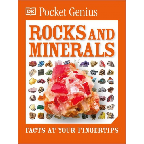 DK - Pocket Genius: Rocks and Minerals