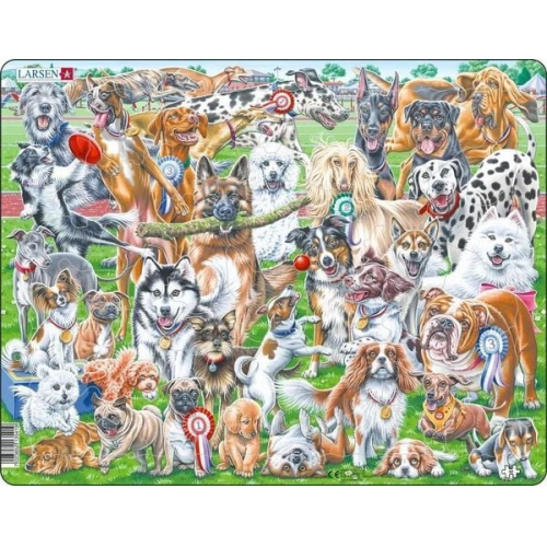 Puzzle - Süße und verspielte Hunde (Selfie/Gruppenbild)