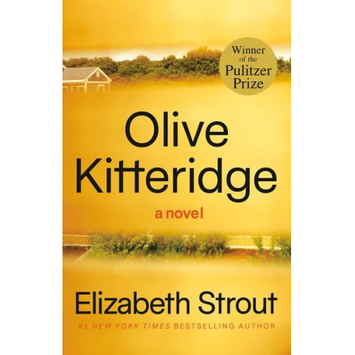 Elizabeth Strout - Olive Kitteridge