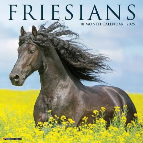 Willow Creek Association - Friesians 2025 12 X 12 Wall Calendar