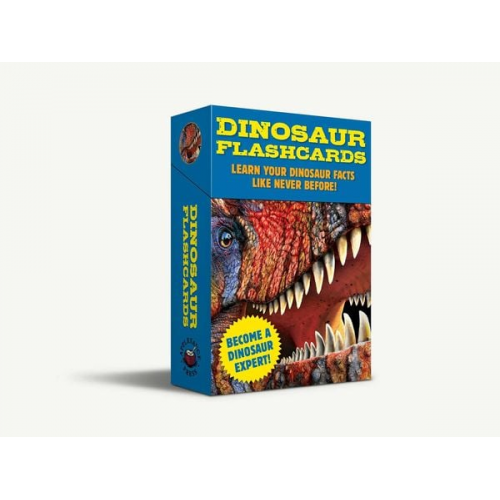 Dinosaur Flashcards