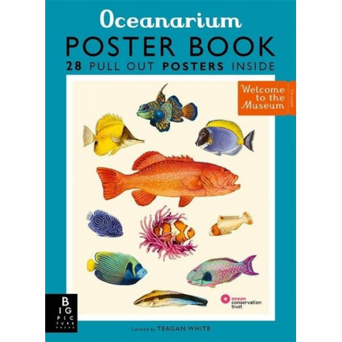 Loveday Trinick - Oceanarium Poster Book