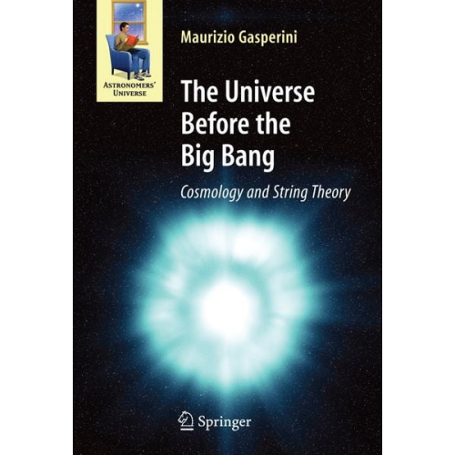 Maurizio Gasperini - The Universe Before the Big Bang