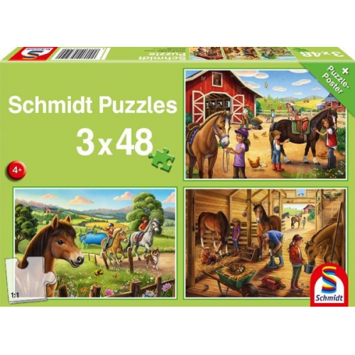 Schmidt Spiele 56519 - Meine Lieblingspferde, Kinderpuzzle Standard 3x48 Teile