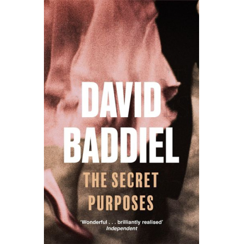 David Baddiel - The Secret Purposes