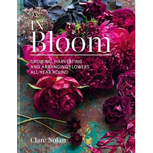 Clare Nolan - In Bloom