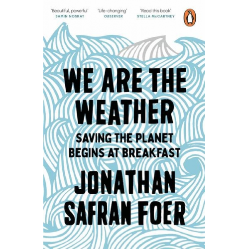 Jonathan Safran Foer - We are the Weather